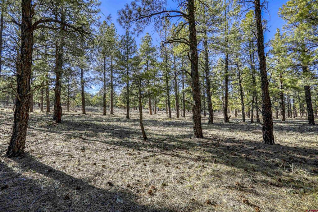 46 S Squaw Canyon Place Pagosa Springs CO 81147