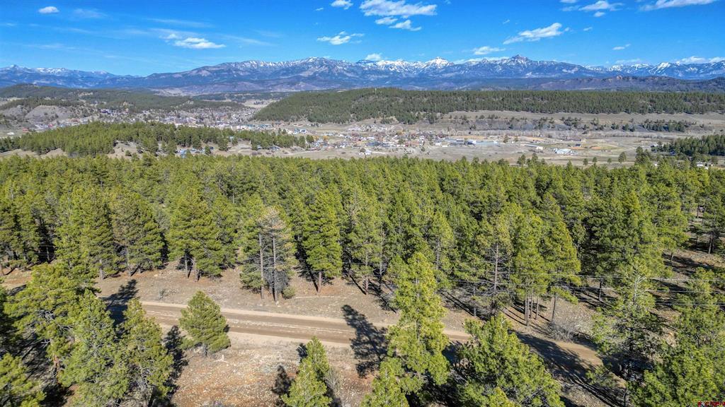 46 S Squaw Canyon Place Pagosa Springs CO 81147