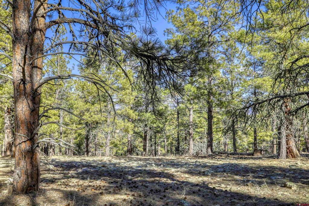 46 S Squaw Canyon Place Pagosa Springs CO 81147