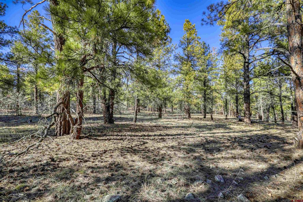 46 S Squaw Canyon Place Pagosa Springs CO 81147
