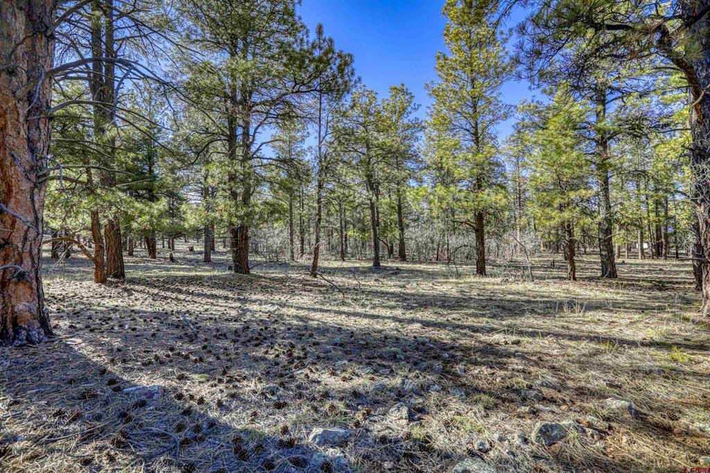 46 S Squaw Canyon Place Pagosa Springs CO 81147
