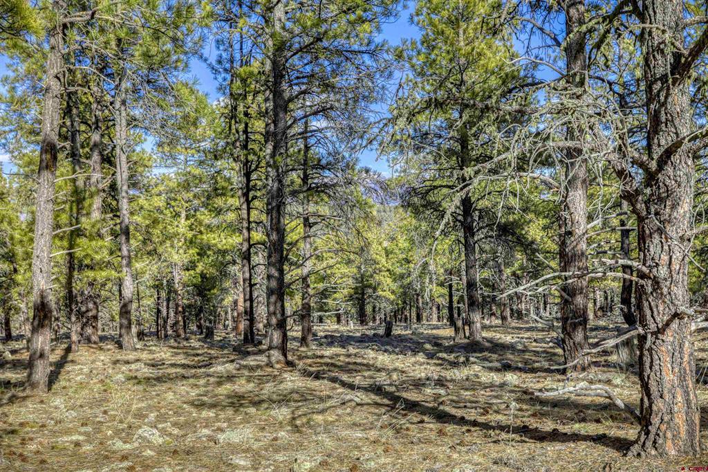46 S Squaw Canyon Place Pagosa Springs CO 81147