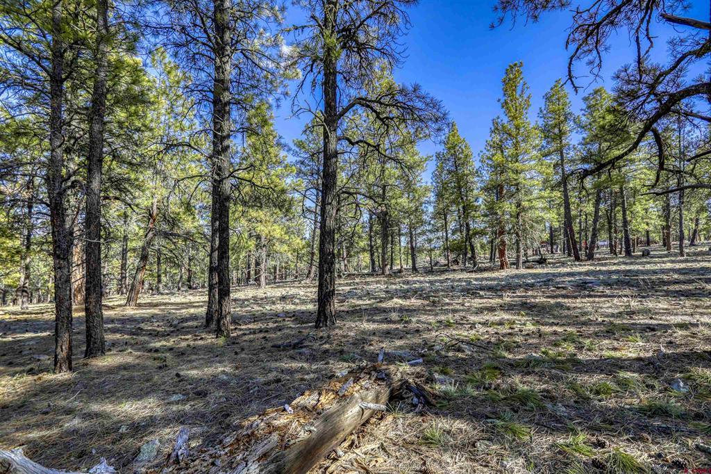 46 S Squaw Canyon Place Pagosa Springs CO 81147