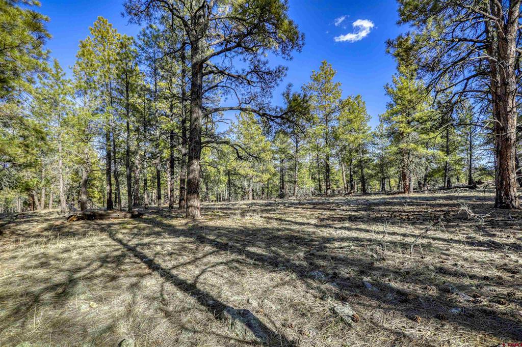 46 S Squaw Canyon Place Pagosa Springs CO 81147