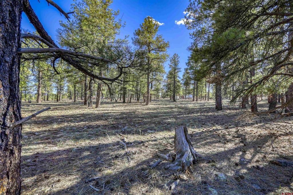 46 S Squaw Canyon Place Pagosa Springs CO 81147