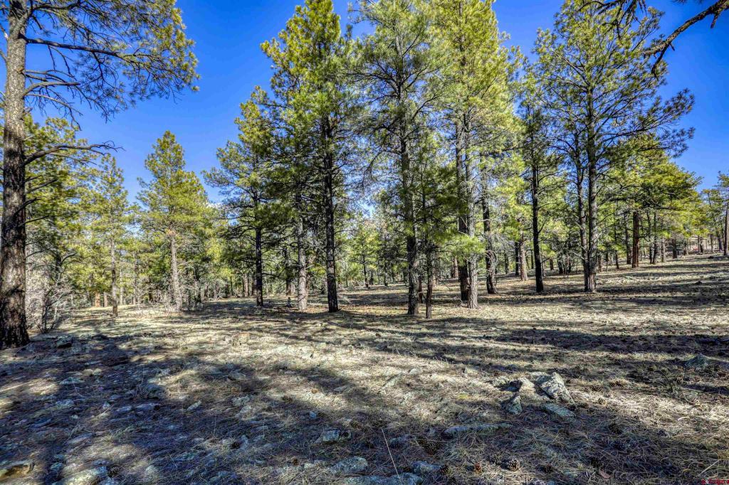 46 S Squaw Canyon Place Pagosa Springs CO 81147