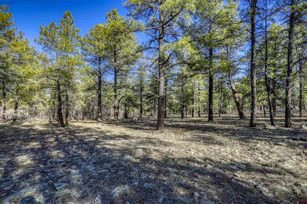 46 S Squaw Canyon Place Pagosa Springs CO 81147