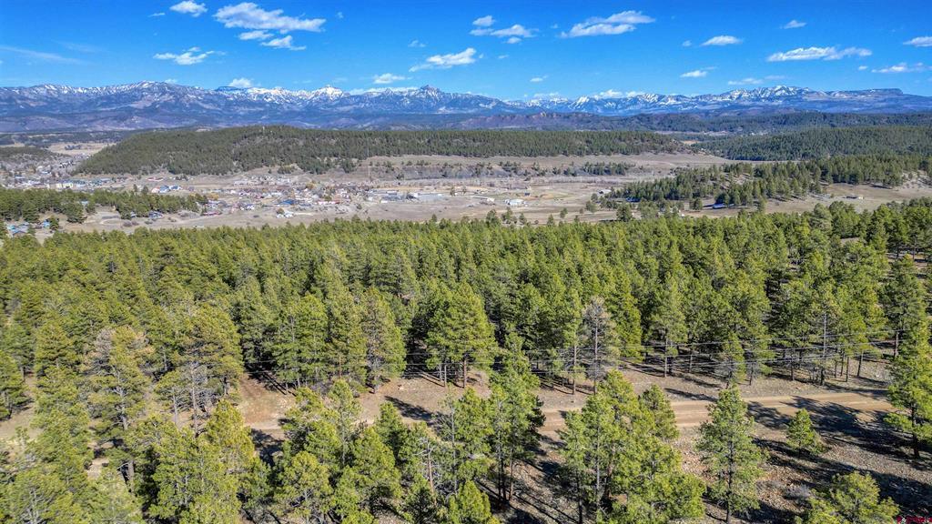 46 S Squaw Canyon Place Pagosa Springs CO 81147