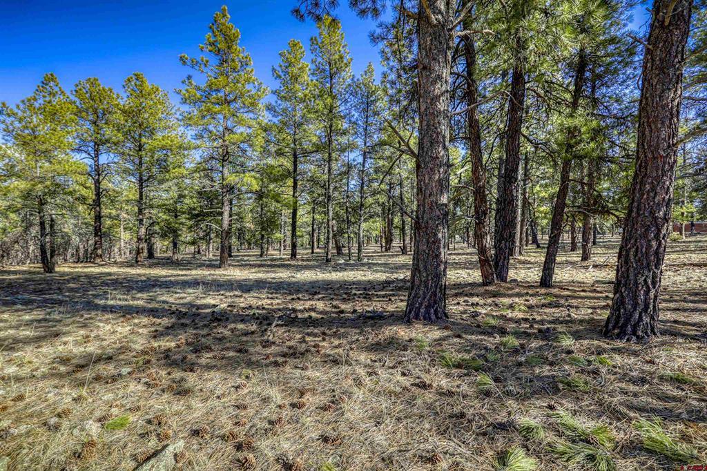 46 S Squaw Canyon Place Pagosa Springs CO 81147