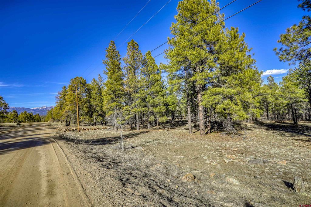 46 S Squaw Canyon Place Pagosa Springs CO 81147
