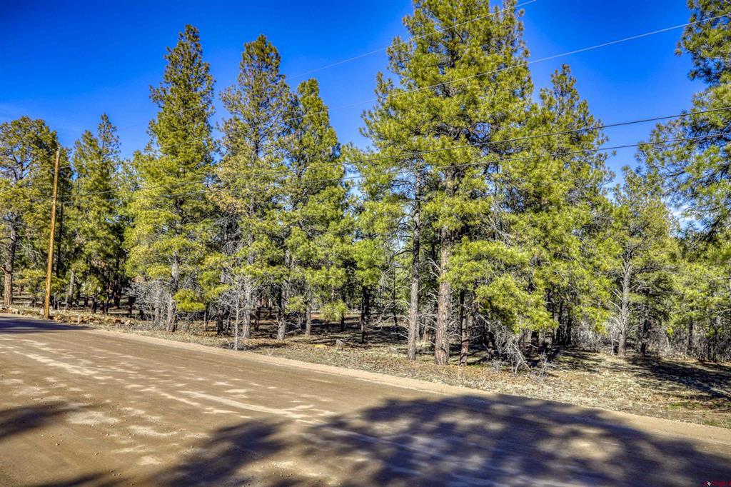 46 S Squaw Canyon Place Pagosa Springs CO 81147
