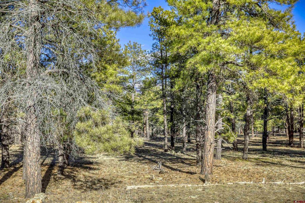 46 S Squaw Canyon Place Pagosa Springs CO 81147