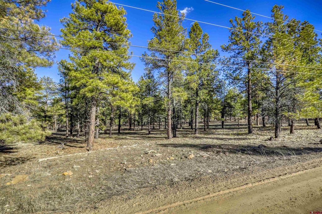 46 S Squaw Canyon Place Pagosa Springs CO 81147