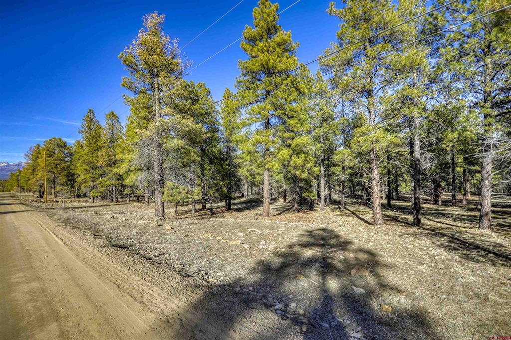 46 S Squaw Canyon Place Pagosa Springs CO 81147