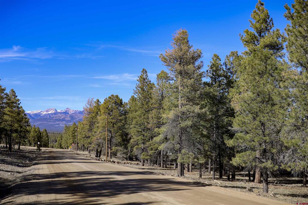 46 S Squaw Canyon Place Pagosa Springs CO 81147