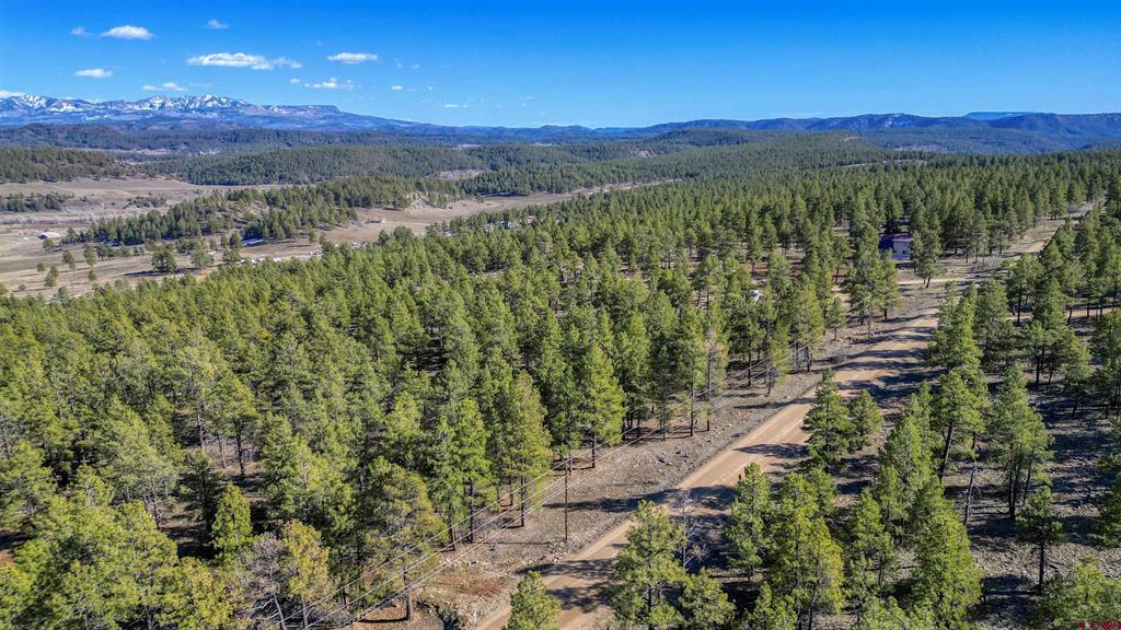 46 S Squaw Canyon Place Pagosa Springs CO 81147