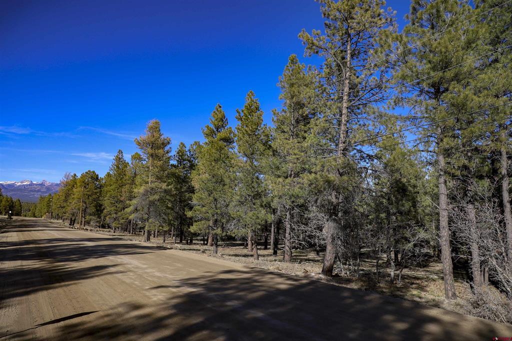 46 S Squaw Canyon Place Pagosa Springs CO 81147