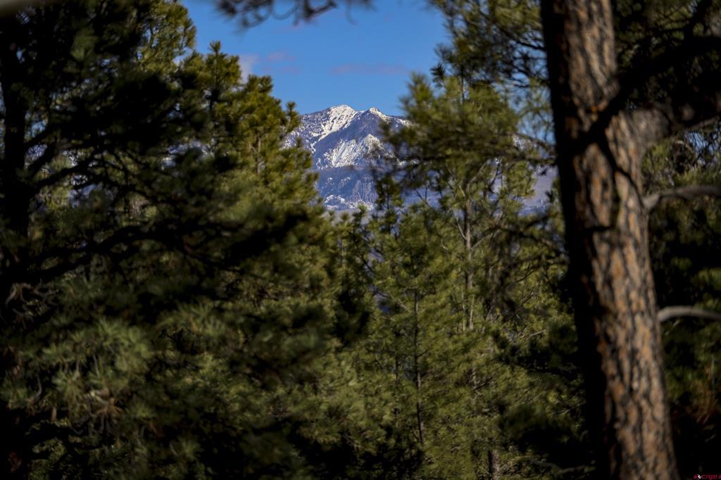 46 S Squaw Canyon Place Pagosa Springs CO 81147