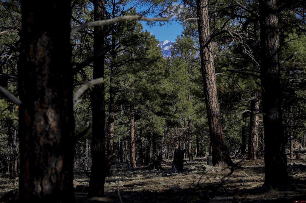 46 S Squaw Canyon Place Pagosa Springs CO 81147