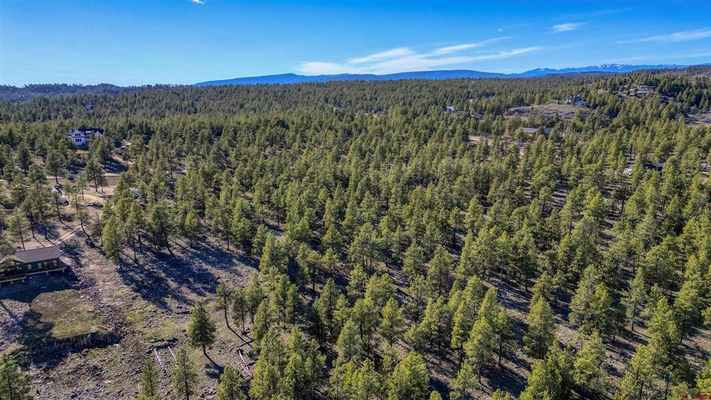 46 S Squaw Canyon Place Pagosa Springs CO 81147