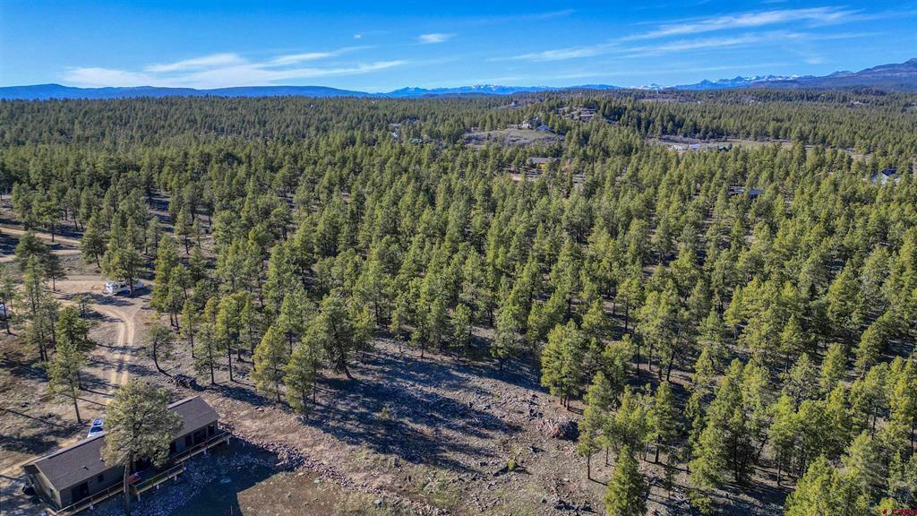46 S Squaw Canyon Place Pagosa Springs CO 81147