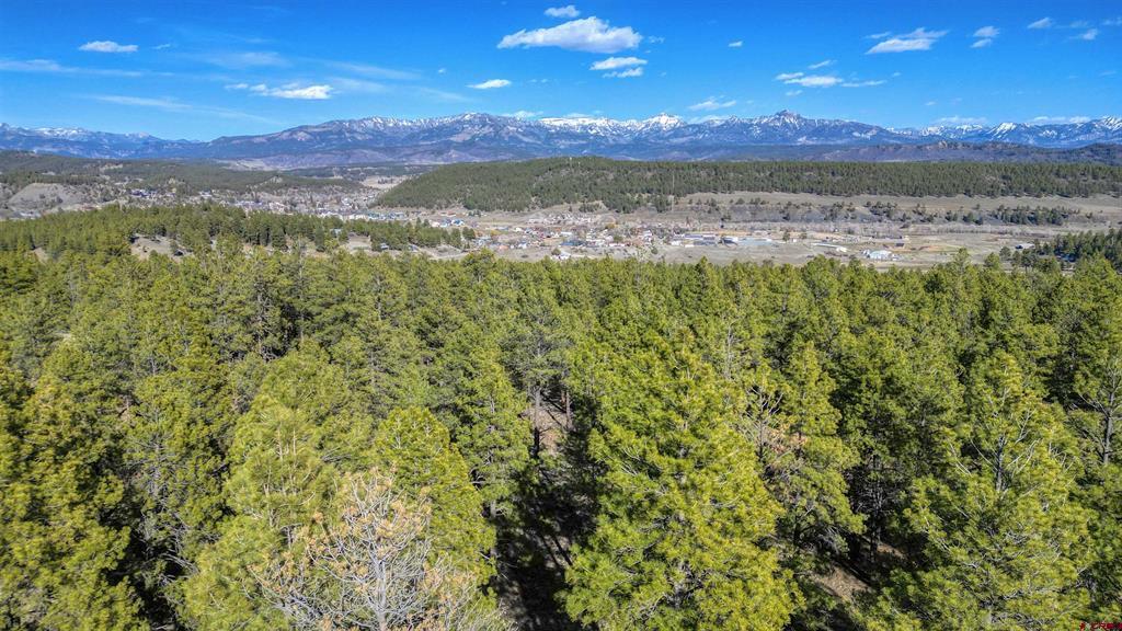 46 S Squaw Canyon Place Pagosa Springs CO 81147