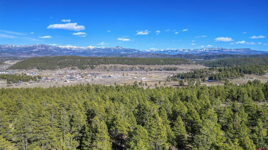 46 S Squaw Canyon Place Pagosa Springs CO 81147