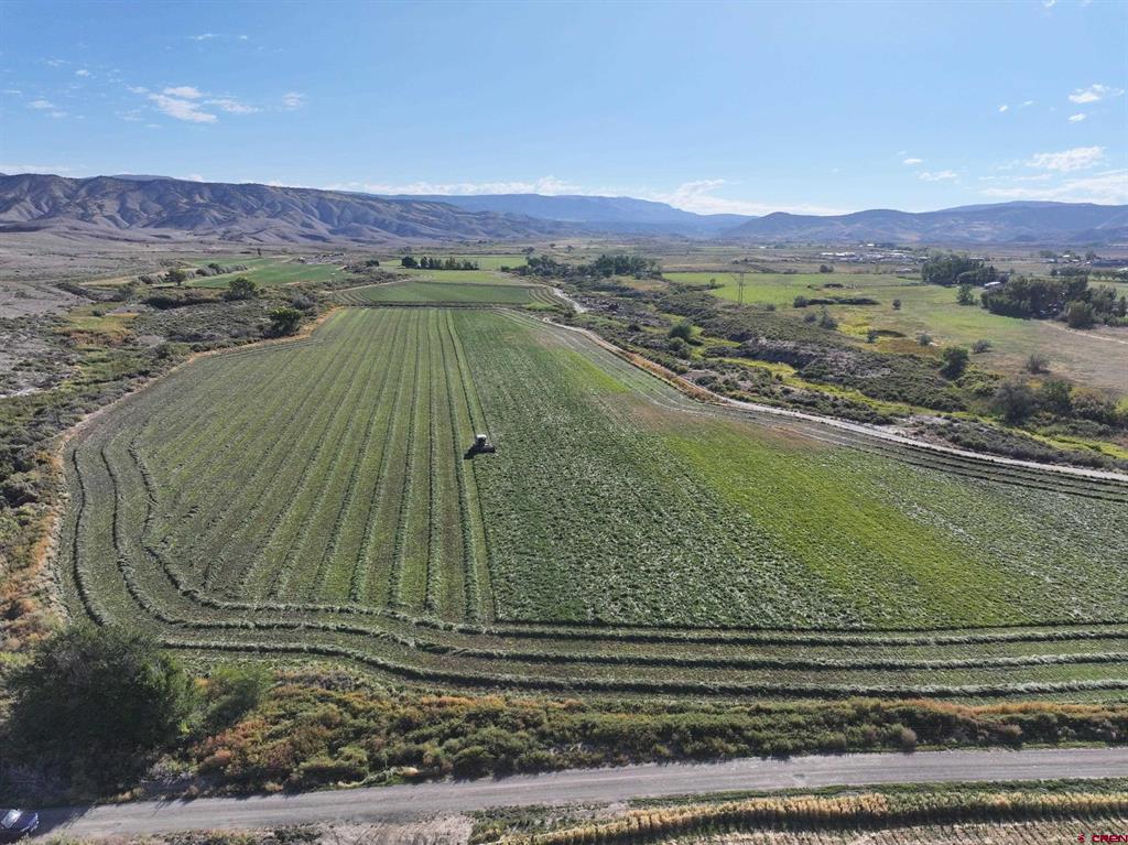 Tbd 6900 Road Montrose CO 81401