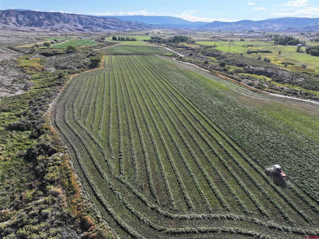Tbd 6900 Road Montrose CO 81401