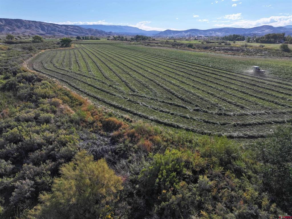 Tbd 6900 Road Montrose CO 81401