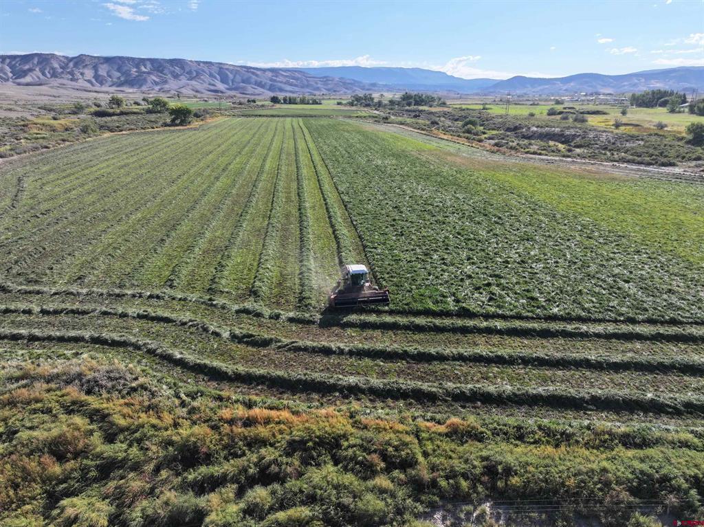 Tbd 6900 Road Montrose CO 81401