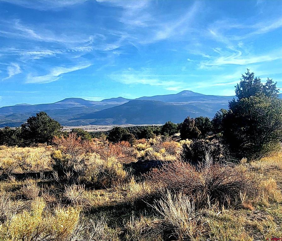1094 & 1343 Valley View Road South Fork CO 81154