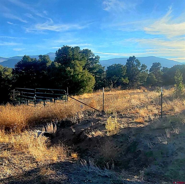 1094 & 1343 Valley View Road South Fork CO 81154