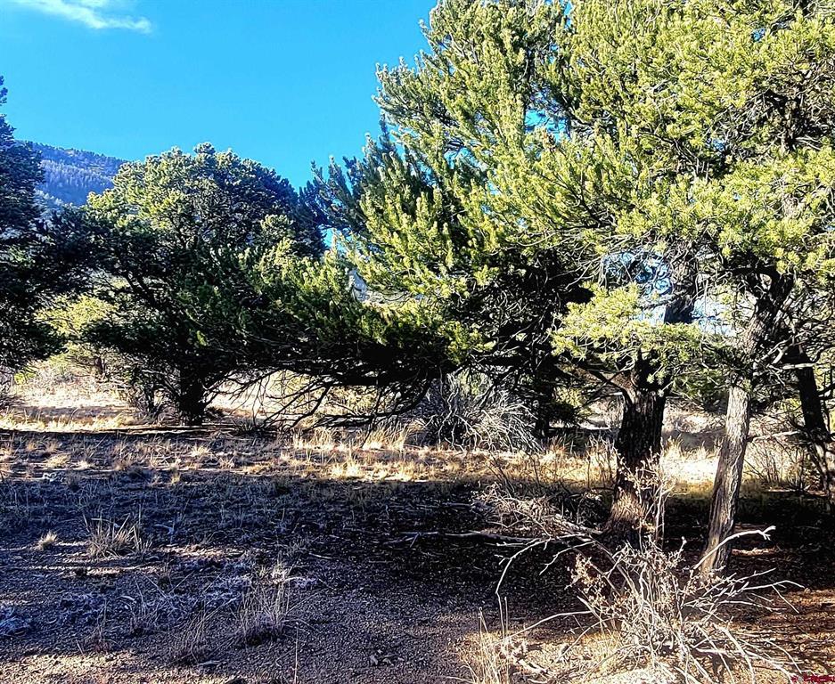 1094 & 1343 Valley View Road South Fork CO 81154