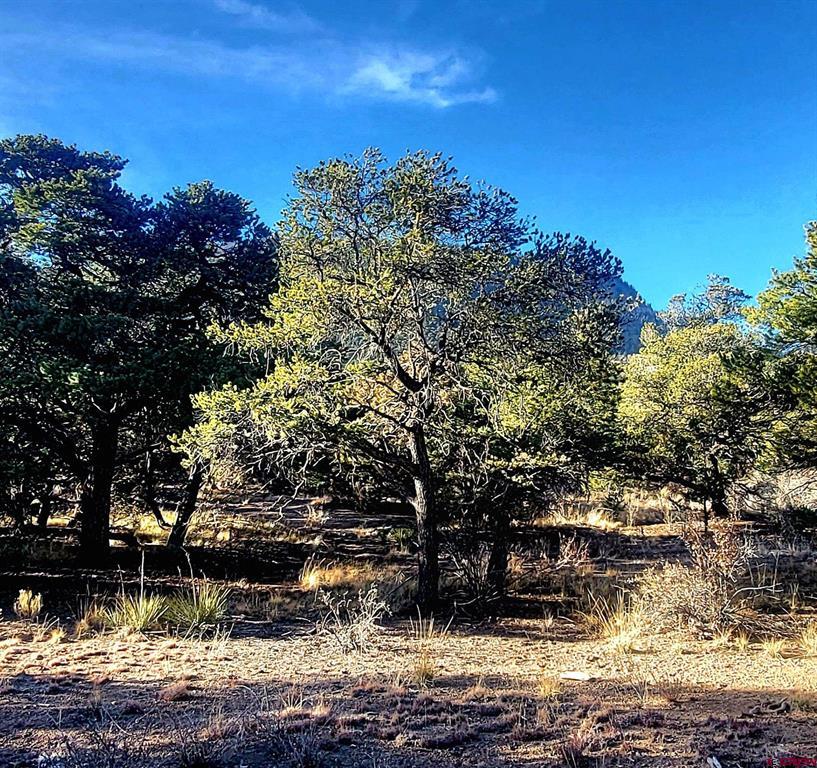1094 & 1343 Valley View Road South Fork CO 81154