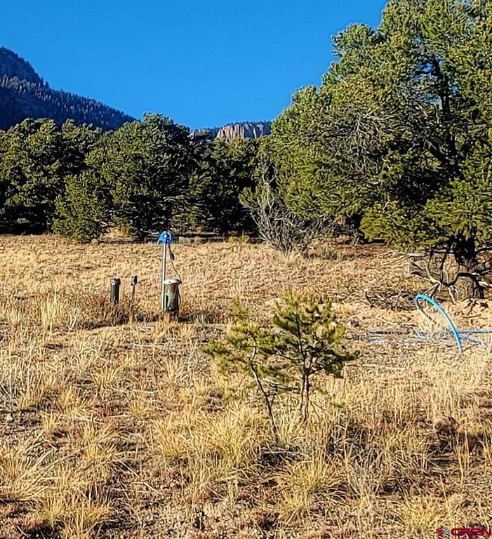 1094 & 1343 Valley View Road South Fork CO 81154