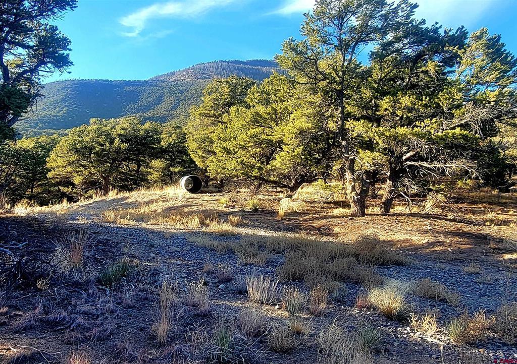 1094 & 1343 Valley View Road South Fork CO 81154