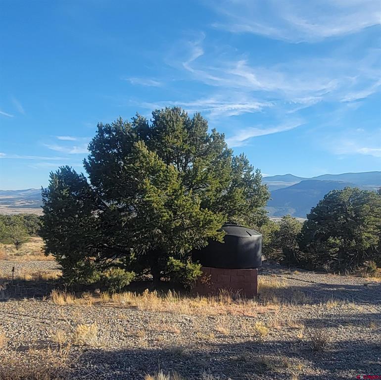 1094 & 1343 Valley View Road South Fork CO 81154