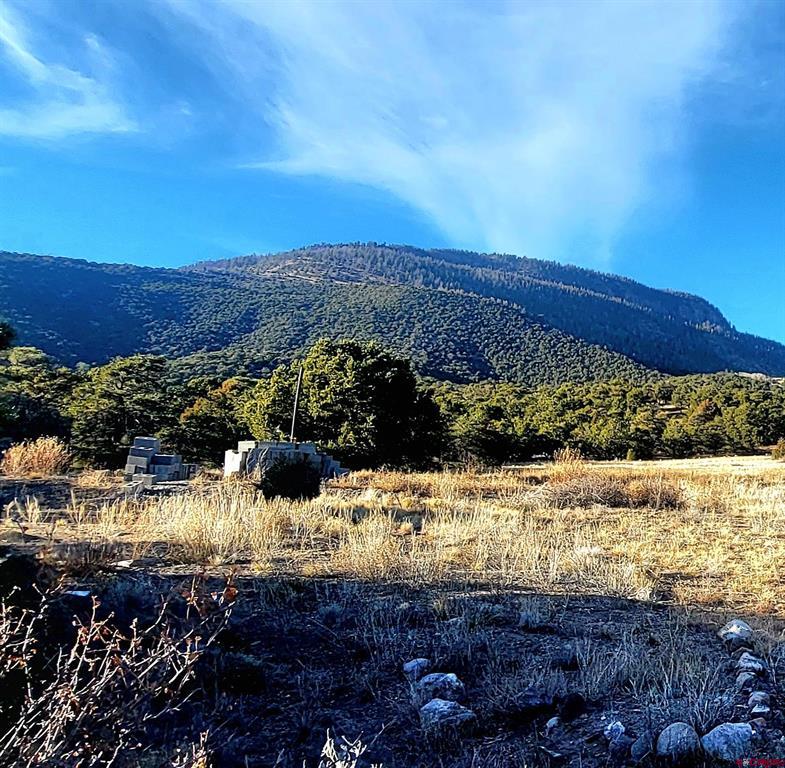 1094 & 1343 Valley View Road South Fork CO 81154