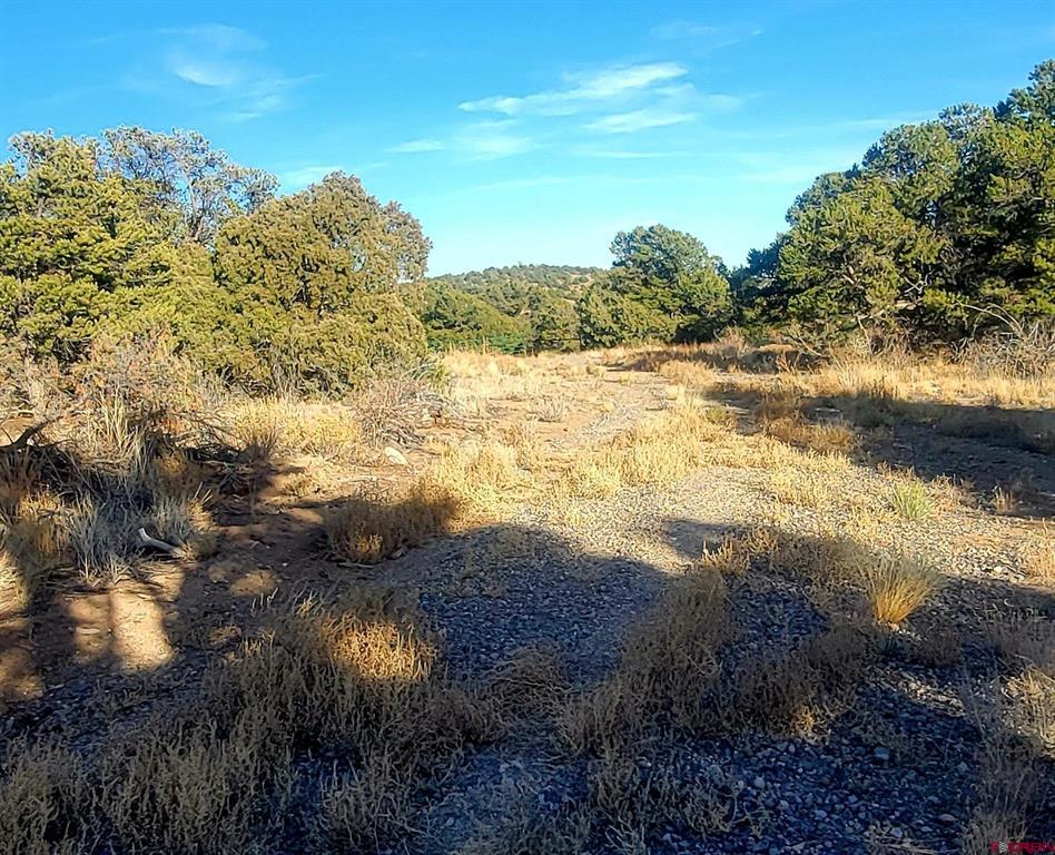 1094 & 1343 Valley View Road South Fork CO 81154