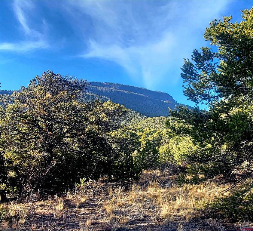 1094 & 1343 Valley View Road South Fork CO 81154