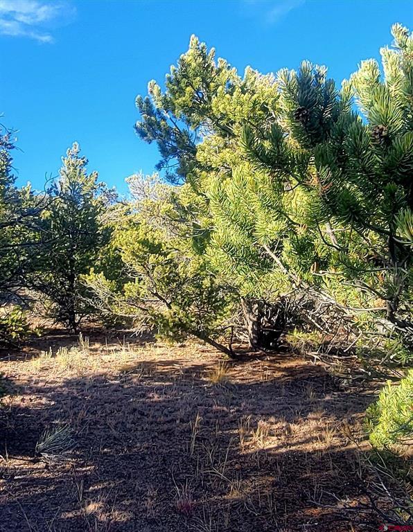 1094 & 1343 Valley View Road South Fork CO 81154