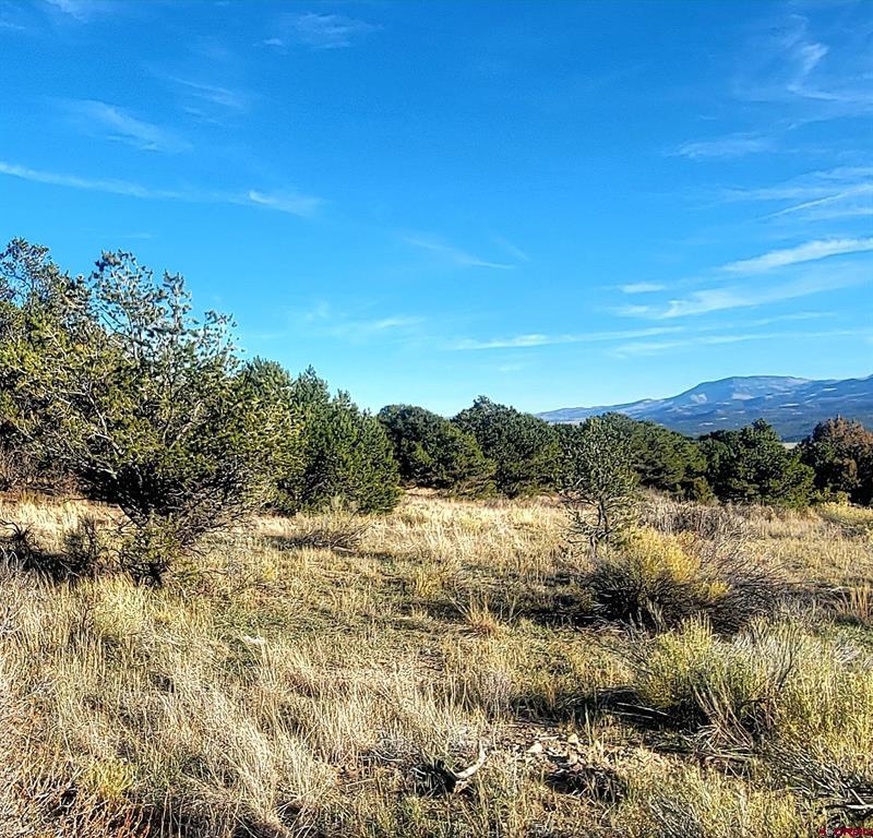 1094 & 1343 Valley View Road South Fork CO 81154