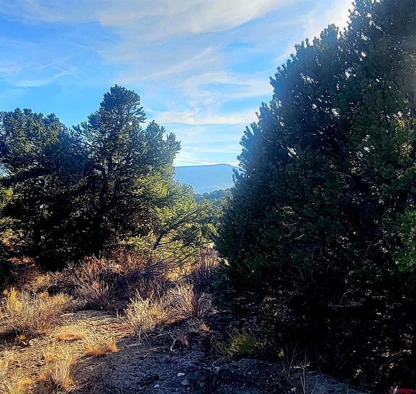 1094 & 1343 Valley View Road South Fork CO 81154