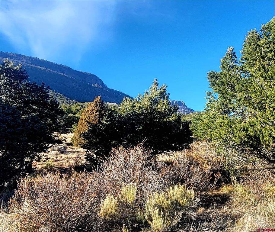 1094 & 1343 Valley View Road South Fork CO 81154