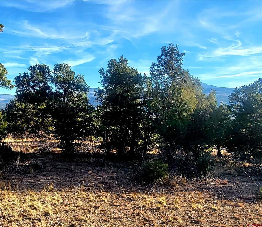1094 & 1343 Valley View Road South Fork CO 81154
