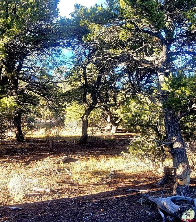 1094 & 1343 Valley View Road South Fork CO 81154