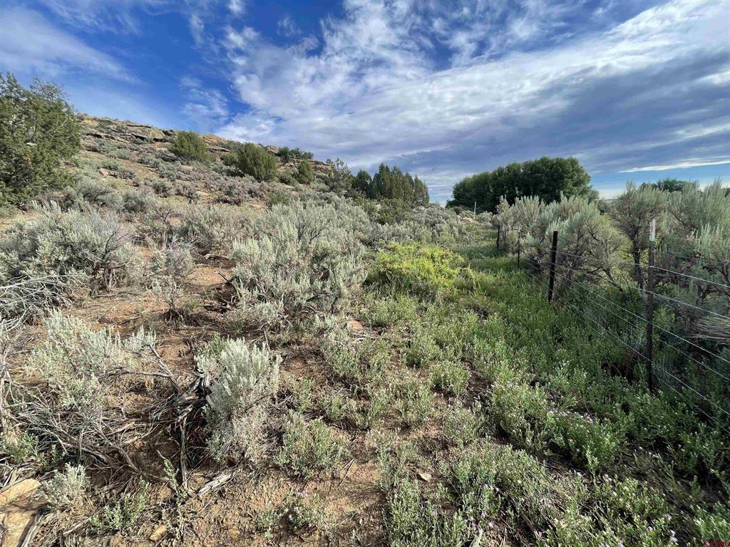 Tract 13 Road K.3 Cortez CO 81321