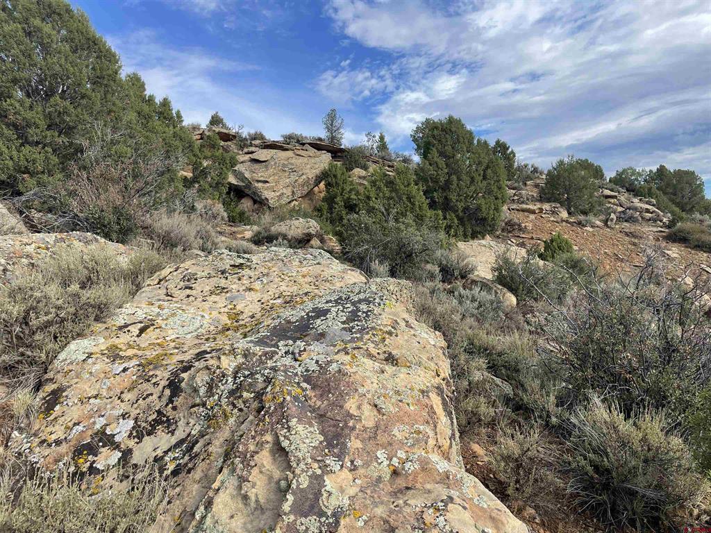 Tract 13 Road K.3 Cortez CO 81321