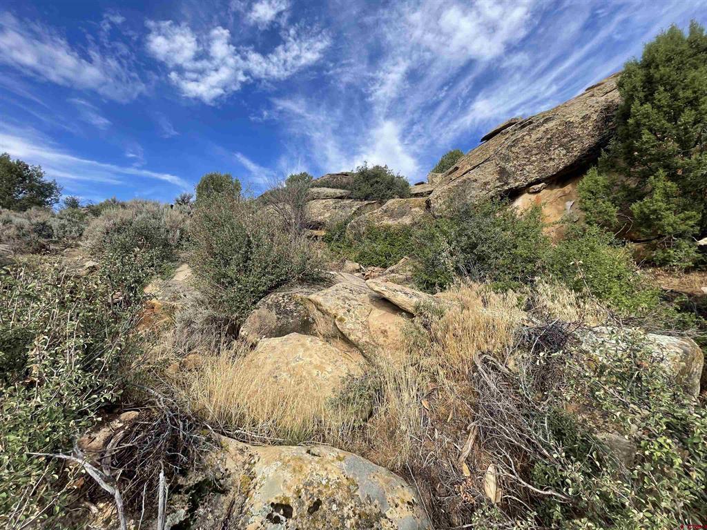 Tract 13 Road K.3 Cortez CO 81321